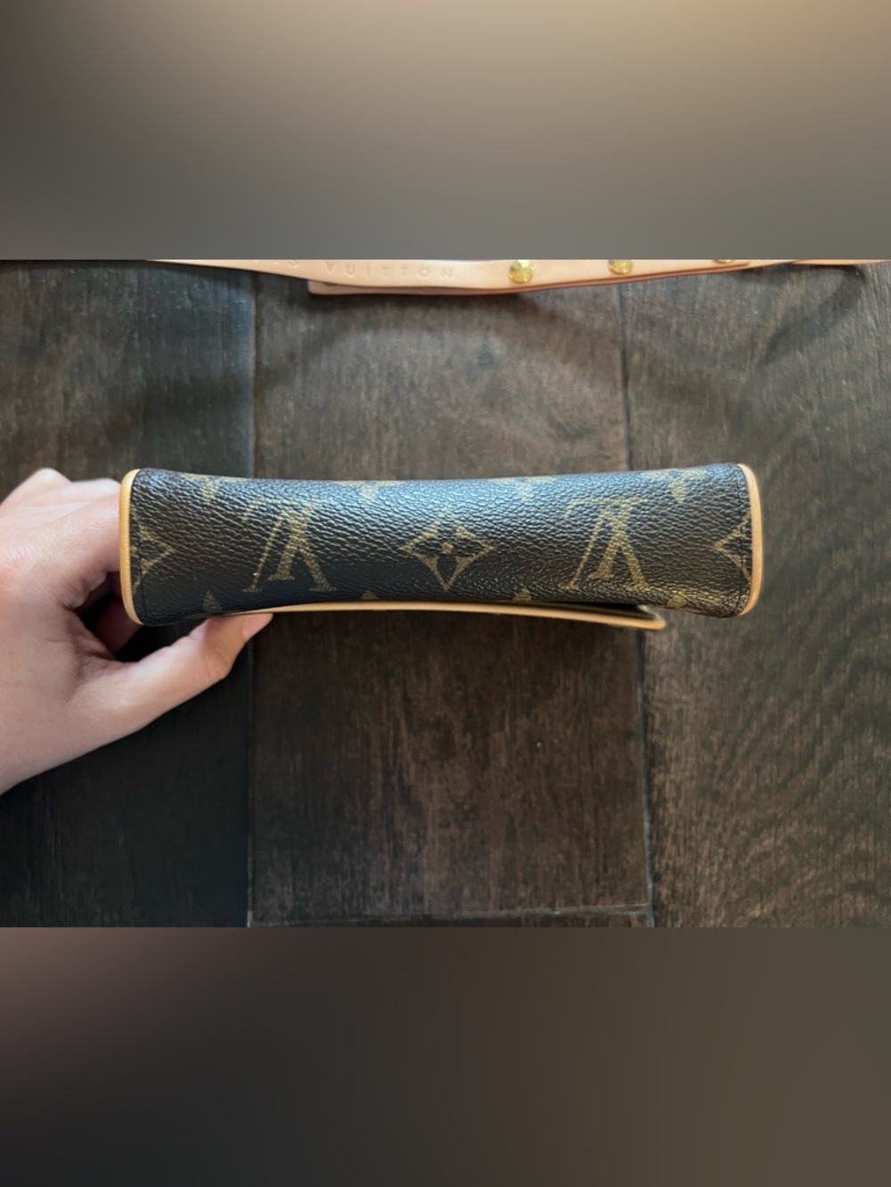 Louis Vuitton Monogram Canvas Florentine Belt Bag - Picture 6 of 15